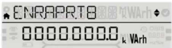 ENRAPRT8 0000000.0 k VArh