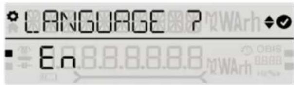LANGUAGE P En 8.8.8.8.8 WArh OBIS 8888