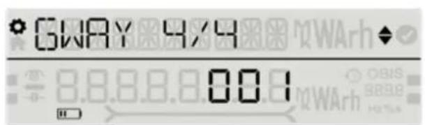 GWAY 4/4 WArh 8.8.8.8.0.0.1 OBIS 8898 HOTA