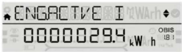 ENGACTIVE I 0000029.4 kW h OBIS 18:1