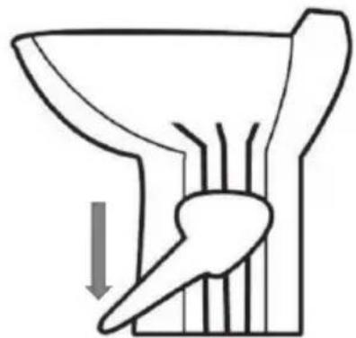 SereneLife SLCATL490 - How to Operate Toilet - 2