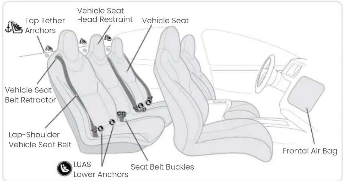 Top Tether Anchors Vehicle Seat Head Restraint Vehicle Seat Vehicle Seat Belt Retractor Lap-Shoulder Vehicle Seat Belt LUAS Lower Anchors Seat Belt Buckles Frontal Air Bag