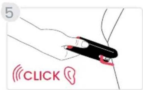 5 CLICK