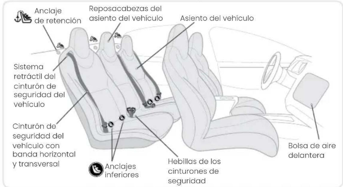 Anclaje de retención Reposacabezas del asiento del vehículo Asiento del vehículo Sistema retráctil del cinturón de seguridad del vehículo Cinturón de seguridad del vehículo con banda horizontal y transversal Anclajes inferiores Hebillas de los cinturones de seguridad Bolsa de aire delantera