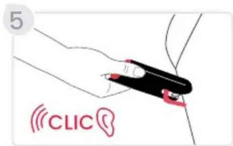 5 CLIC