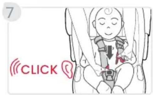7 CLICK