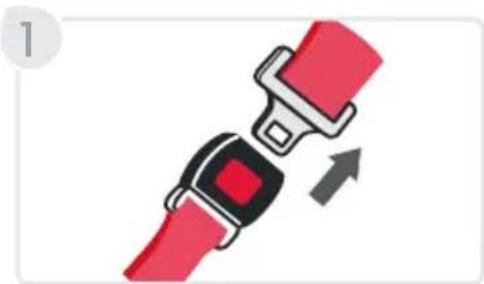 BRITAX Willow SC - Indicator ClickTight - 17