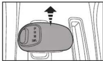 伊豆逊 进入