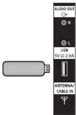 AUDIO OUT R L USB SV ≈ 2.0A ANTENNA/ CABLE IN