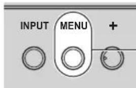INPUT MENU +