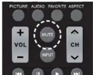 PICTURE AUDIO FAVORITE ASPECT + MUTE VOL CH - INPUT