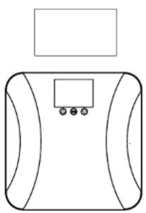 Taylor 5282544 - Weighing-Only Operation - 1
