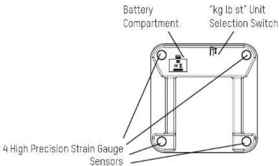 Taylor 5282544 - SET - 4