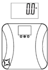 Taylor 5282544 - Weighing-Only Operation - 2