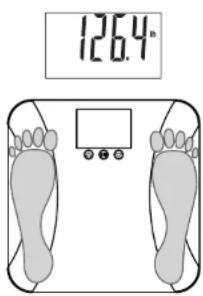 Taylor 5282544 - Weighing-Only Operation - 3