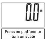 Taylor 5282544 - START-UP THE SCALE - 3