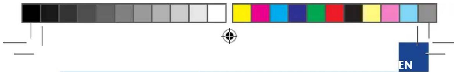 Color palette bar with grayscale shades and a blue 'EN' label, likely from a software interface or document.