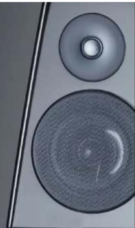 MERIDIAN DSP8000 XE - Using DSP8000 XE with 218 - 1