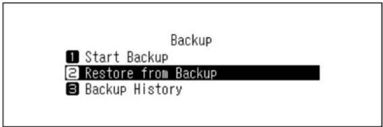 Backup 1 Start Backup 2 Restore from Backup 3 Backup History