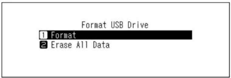 Format USB Drive 1 Format 2 Erase All Data