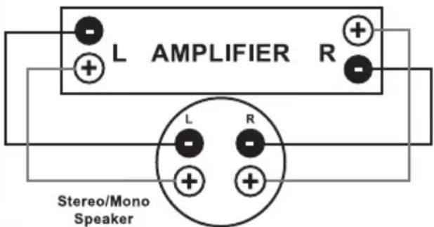 L AMPLIFIER R L R Stereo/Mono Speaker
