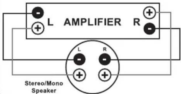 L AMPLIFIER R L R Stereo/Mono Speaker