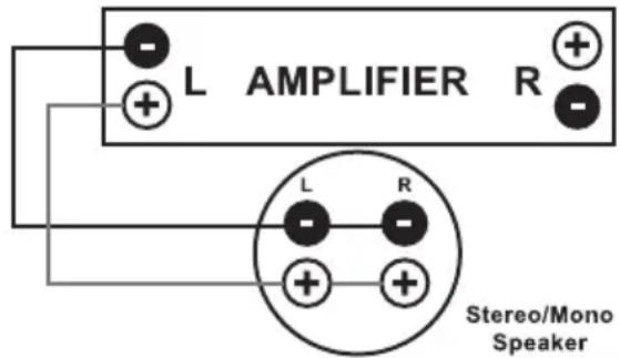 L AMPLIFIER R L R Stereo/Mono Speaker