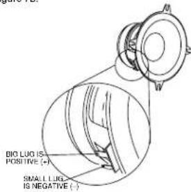 BIG LUG IS POSITIVE (·) SMALL LUG IS NEGATIVE (·)