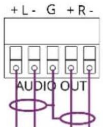 + L - G + R - AUDIO OUT