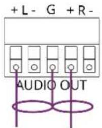 + L - G + R - AUDIO OUT