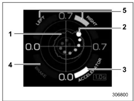 LEFT 0.7 RIGHT 2 1 0.0 0.7 4 BRAKE 0.0 ACCELERATOR 1.0G 3 5 306800