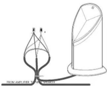 FROM AMPLIFIER TEMPER SPEAKER