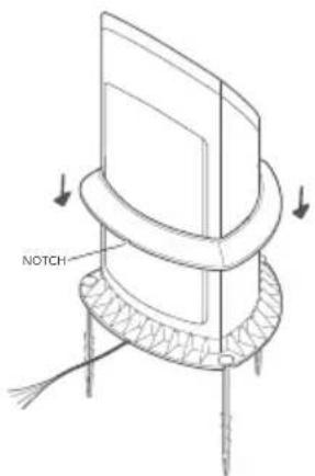 NOTCH