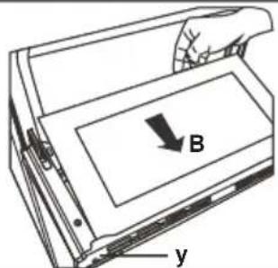 B y