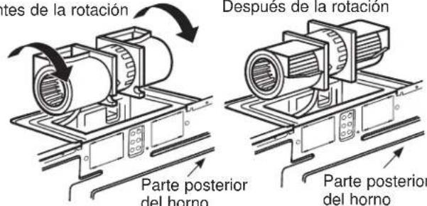 tes de la rotación Después de la rotación Parte posterior del horno Parte posterior del horno