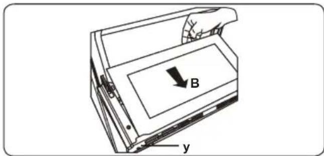 B y