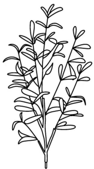 IKEA FEJKA 405.968.85 - 5