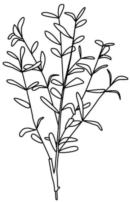 IKEA FEJKA 405.968.85 - 4