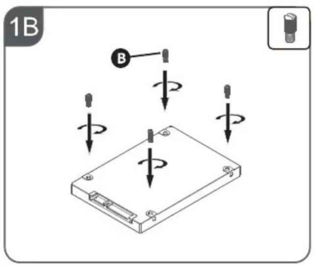 1B B
