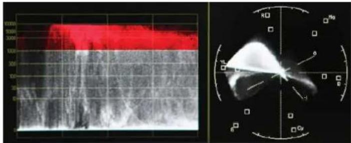 Medical ultrasound image with red Doppler flow and grayscale Doppler response, alongside a radiographic scan with labeled axes and markers.