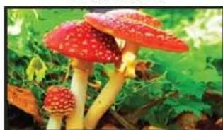 Postium OBM-U42IP - High Dynamic Range(HDR) Display Function - 1