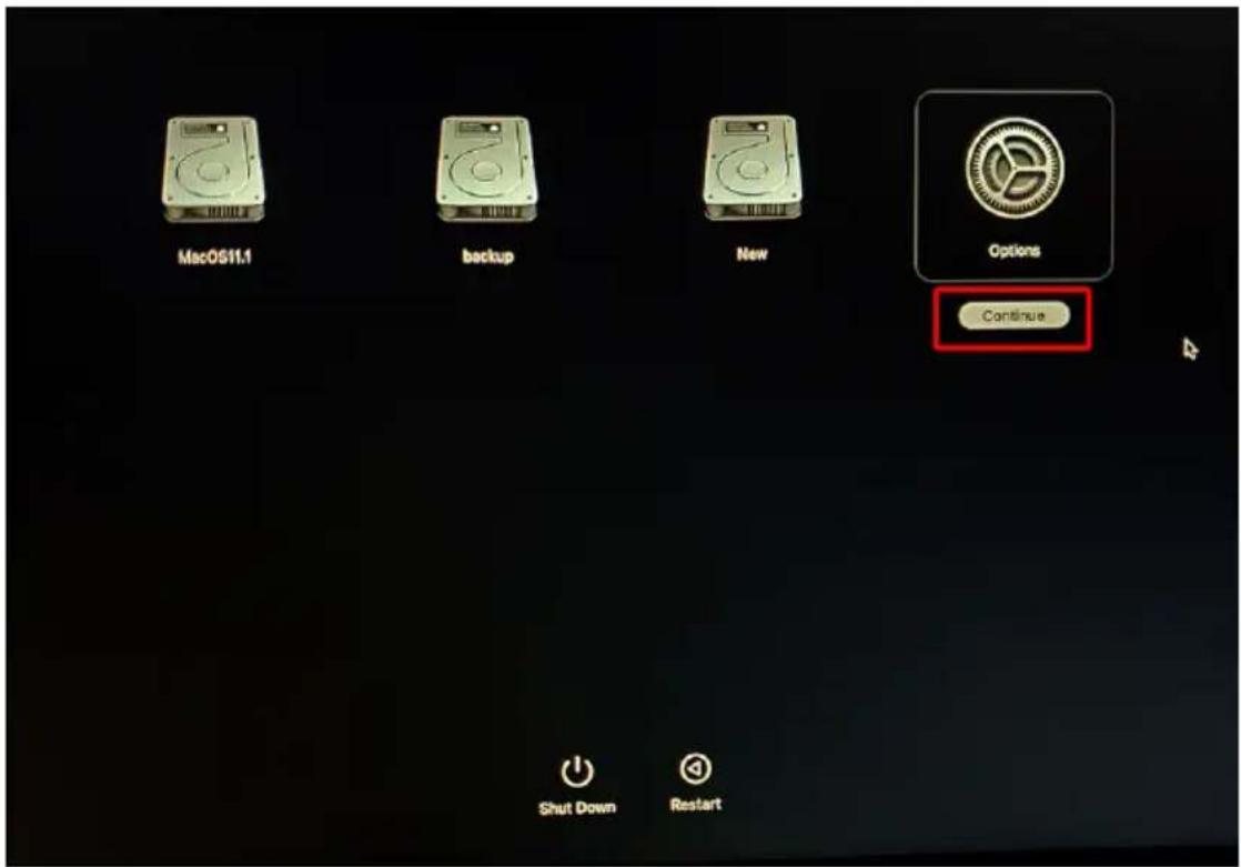 MacOS11.1 backup New Options Continue Shut Down Restart