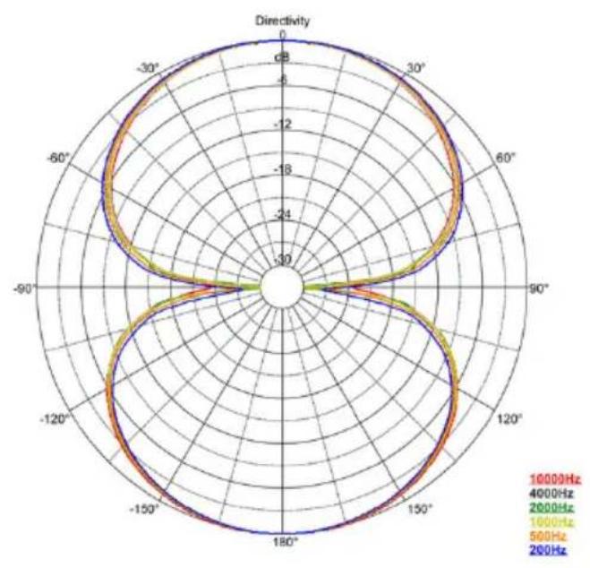 AEA N28 - POLAR PATTERN - 2