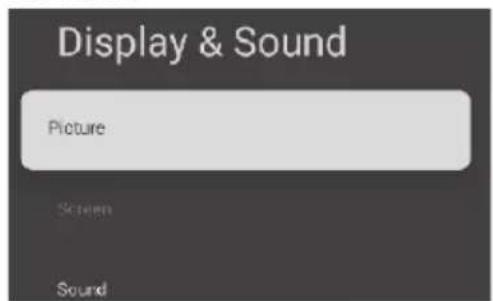Display & Sound Picture Screen Sound