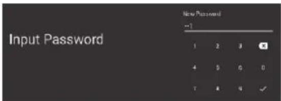 Input Password New Password --1 1 2 3 4 5 6 0 7 8 9 ✓