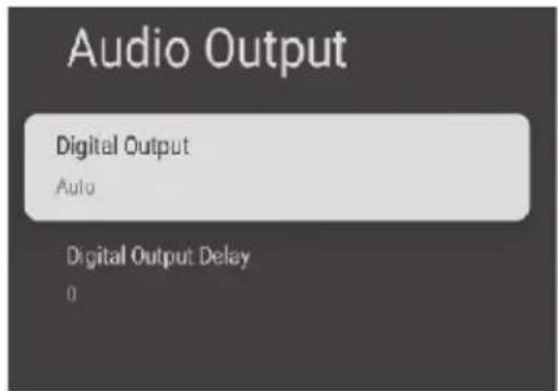 Audio Output Digital Output Auto Digital Output Delay 0