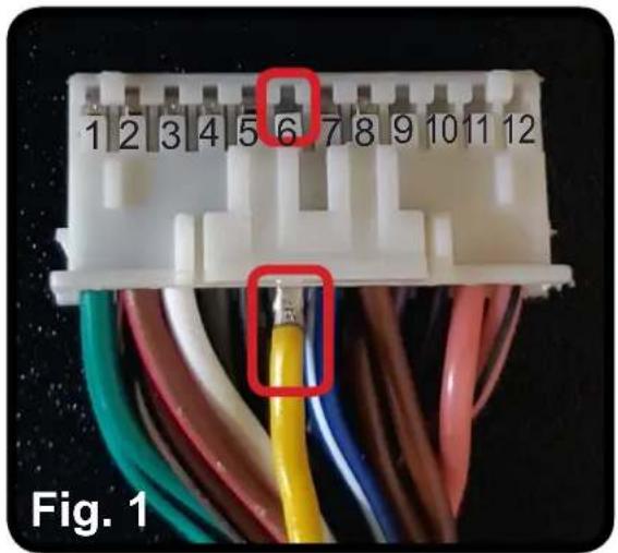 1 2 3 4 5 6 7 8 9 10 11 12 Fig. 1