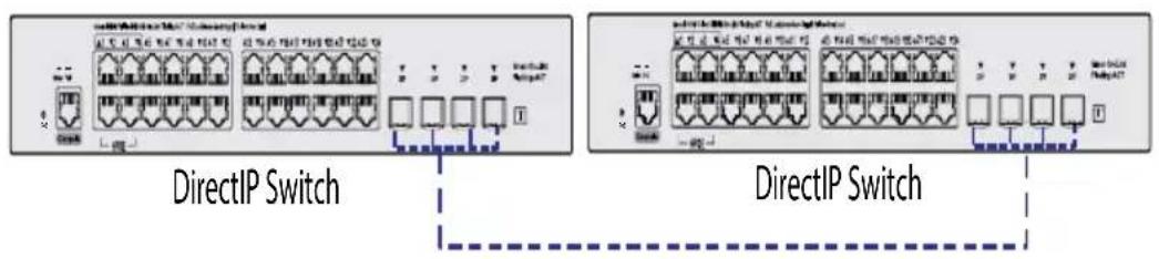 DirectIP Switch DirectIP Switch