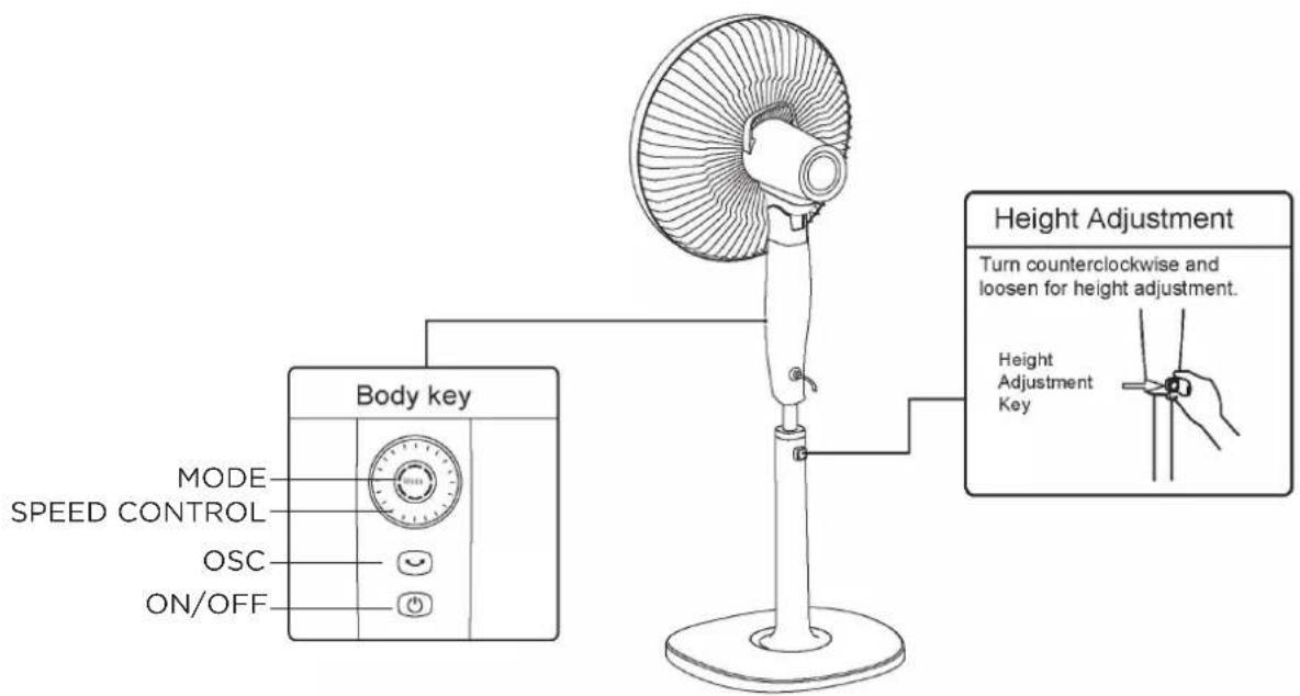 Body key MODE SPEED CONTROL OSC ON/OFF Height Adjustment Turn counterclockwise and loosen for height adjustment. Height Adjustment Key