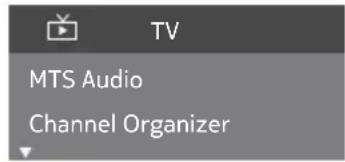 MTS Audio Channel Organizer